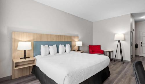 King Room - Disability Access/Non-Smoking