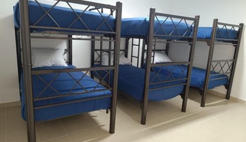 Bed in 6-Bed Dormitory Room