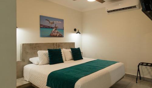 Studio Apartment with King Bed