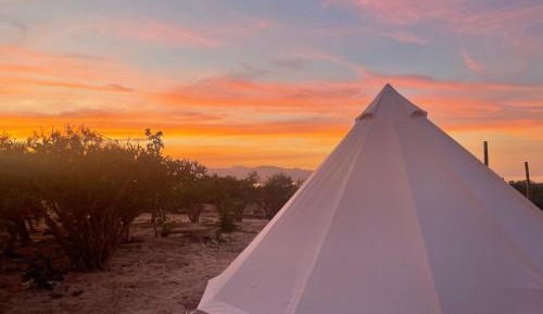 Tent