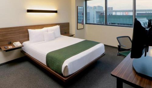 Suite with One Queen Bed and Sofa Bed