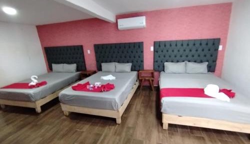 Basic Triple Room