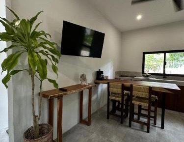 One-Bedroom Villa