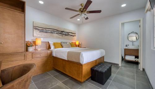 Superior Queen Room