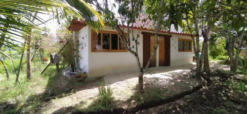 Double or Twin Room with Shared Bathroom