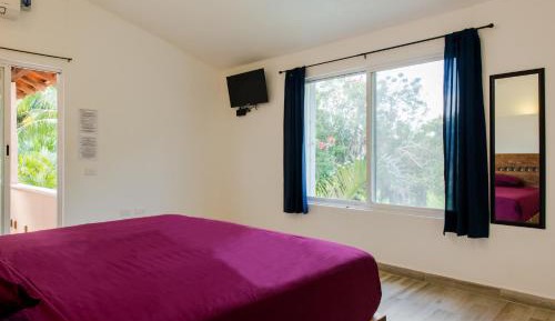 Suite Maracuya
