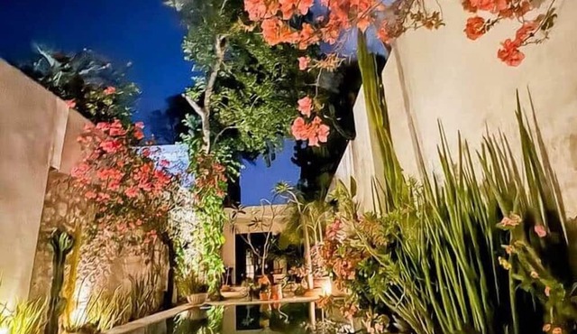 Stunning Art Deco Oasis in Centro Historico
